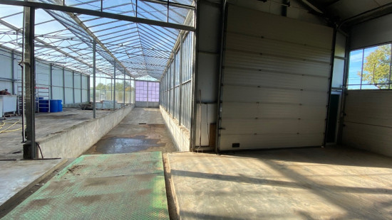 Turkeijensteenweg - 19 - - 8740