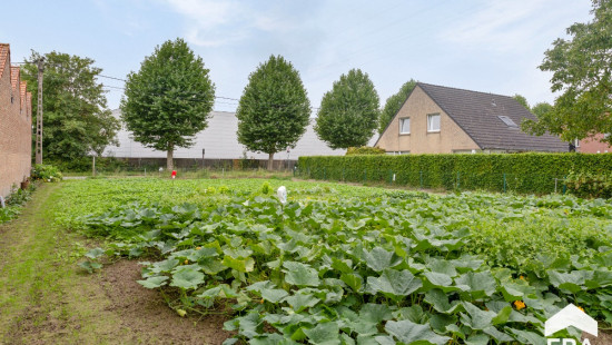 Heirweg - 42 - - 8710