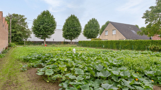 Heirweg - 42 - - 8710