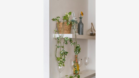 Waldamkaai - 1 - 21 - 9000