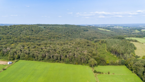 Tier de viné - 0 - - 6940