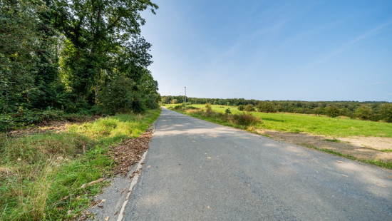 Tier de viné - 0 - - 6940