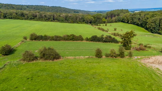 Tier de viné - 0 - - 6940