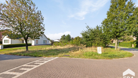 Sint-Franciscusstraat - 44 - - 3920