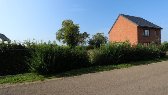 Dennenstraat - Links van - nr. 12 - 3460