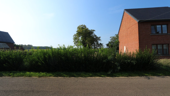 Dennenstraat - Links van - nr. 12 - 3460
