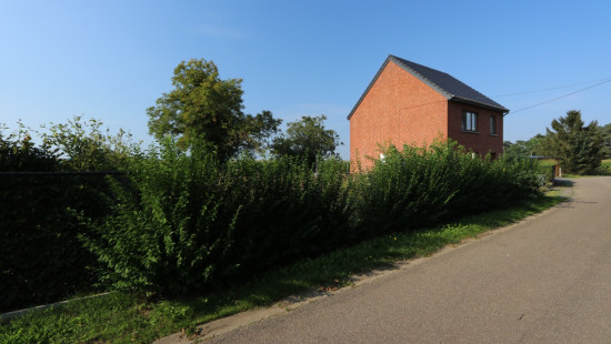 Dennenstraat - Links van - nr. 12 - 3460