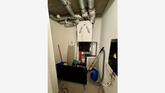 Hendrik Consciencestraat - 5 - 1 - 8800