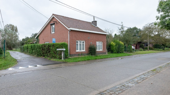 Papdijk - 15 - - 9185