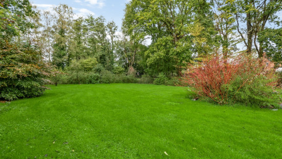 Oude Putsebaan - 50A - - 3140