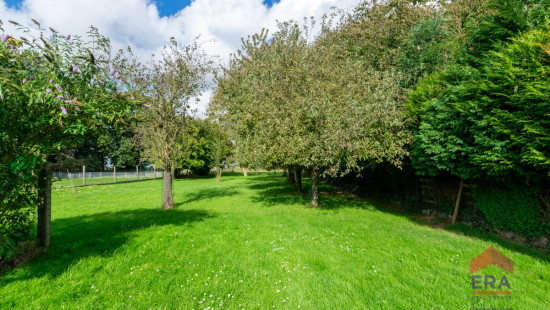 Meerstraat - 110 - - 3300