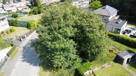 Keinkesstraat - 45 - - 3600