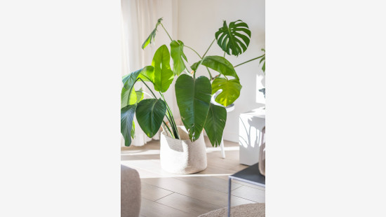 Maria Van Sinaplein - 1 - bus 103 - 2050