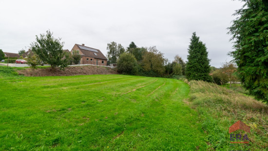 Korenmaat - lv21 Lot2 - - 3370