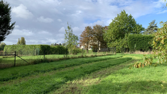 Zevekotestraat - 35 - LOT 2 - 8500
