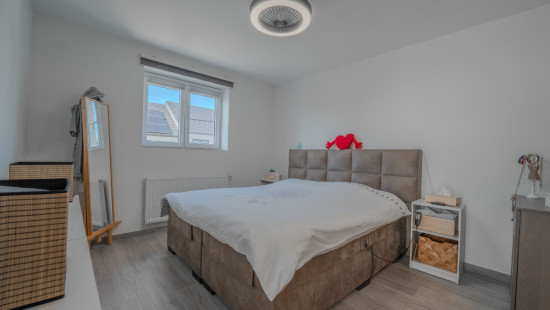 Rue Jef Ulburghs - 41 - - 4460
