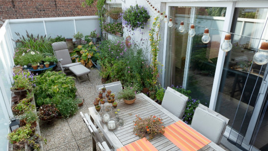 Schoolstraat - 2 - - 8540