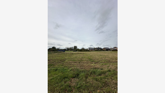 Groenlarenstraat - LOT 1A - - 3560