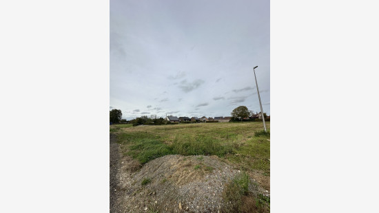 Groenlarenstraat - LOT 1A - - 3560