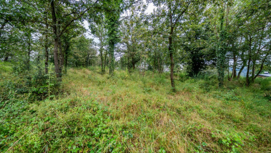 Rue des Monts - 0 Lot 2 - - 6990