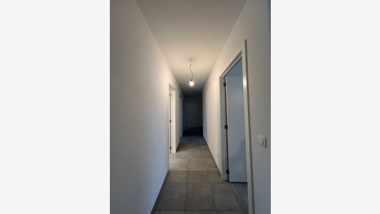 Rodekruisstraat - 19 - 0103 - 3920