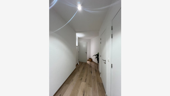 Kleuterstraat - 2 - 0202 - 3930