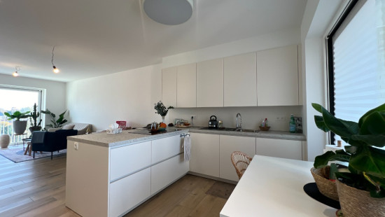 Kleuterstraat - 2 - 0202 - 3930