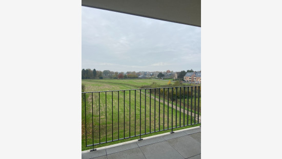 Baantveld - 40 - - 2440