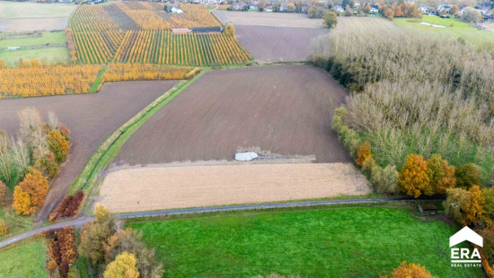 Molenvoetweg - zn - - 3500