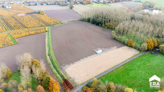 Molenvoetweg - zn - - 3500