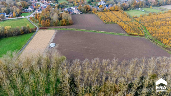 Molenvoetweg - zn - - 3500