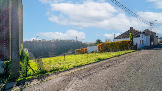 Rue Deminche - 96 - - 5150
