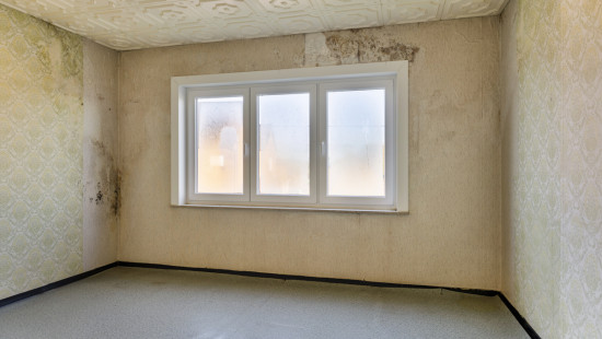 Bergenstraat - 25 - - 3450