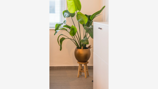 Knaptandstraat - 204 - 202 - 9100