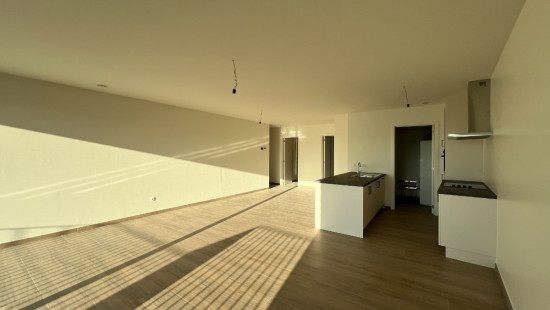 Rodekruisstraat - 19 - 0201 - 3920