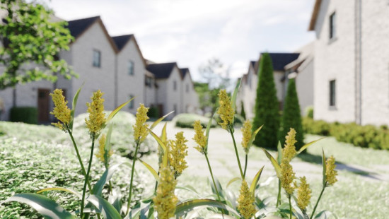 Winhof - 26 - - Lot 12 - 1730