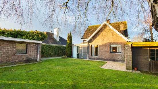 Zuidforeest - 4 - - 8800