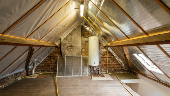 Bosstraat - 28 - - 9500