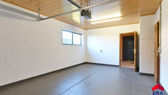 Zevenbunders - 5 - - 9950