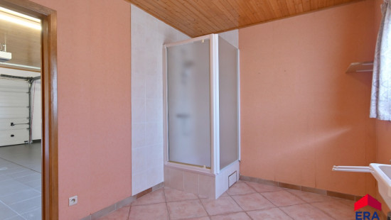 Zevenbunders - 5 - - 9950