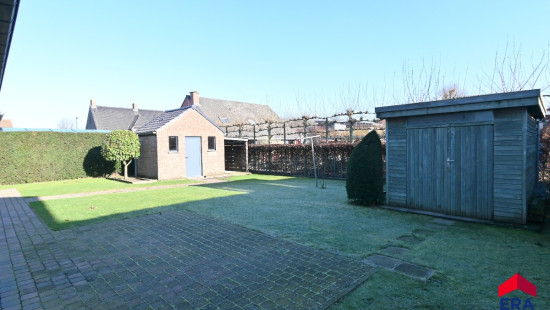 Zevenbunders - 5 - - 9950