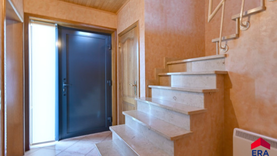 Zevenbunders - 5 - - 9950