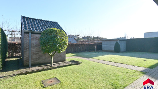 Zevenbunders - 5 - - 9950