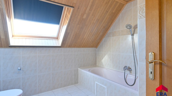 Zevenbunders - 5 - - 9950