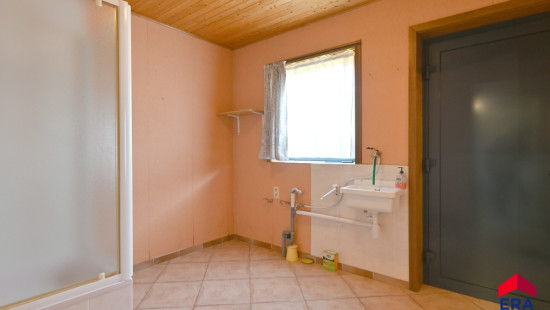 Zevenbunders - 5 - - 9950