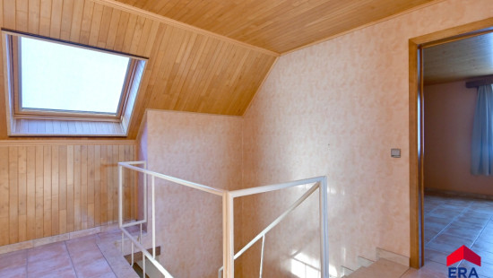 Zevenbunders - 5 - - 9950