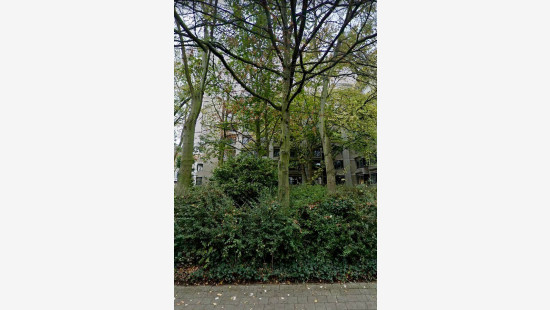Bogaardenstraat - 73 - 0201 - 3000