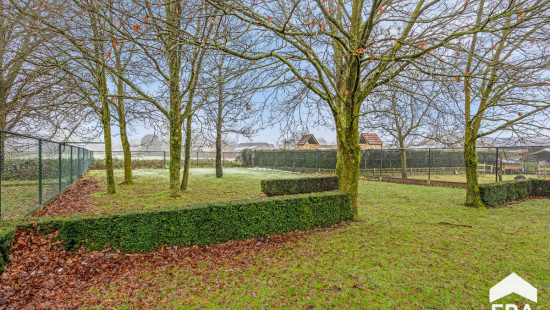 Hensemstraat - 91 - - 3670