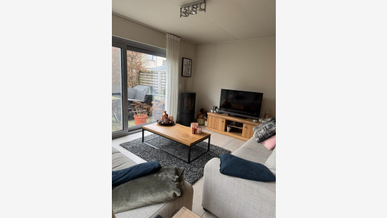 Albert Saverysstraat - 1 - - 8790