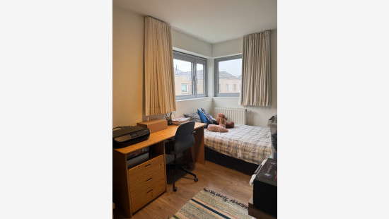 Albert Saverysstraat - 1 - - 8790